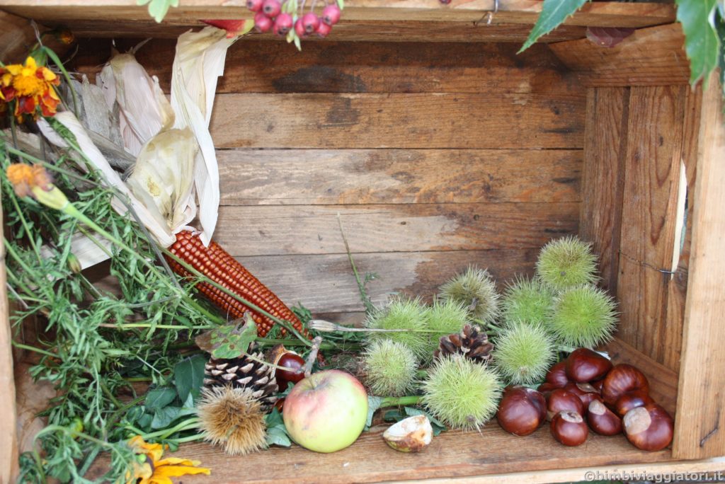 Castagne