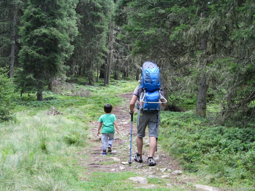 Sentiero bosco