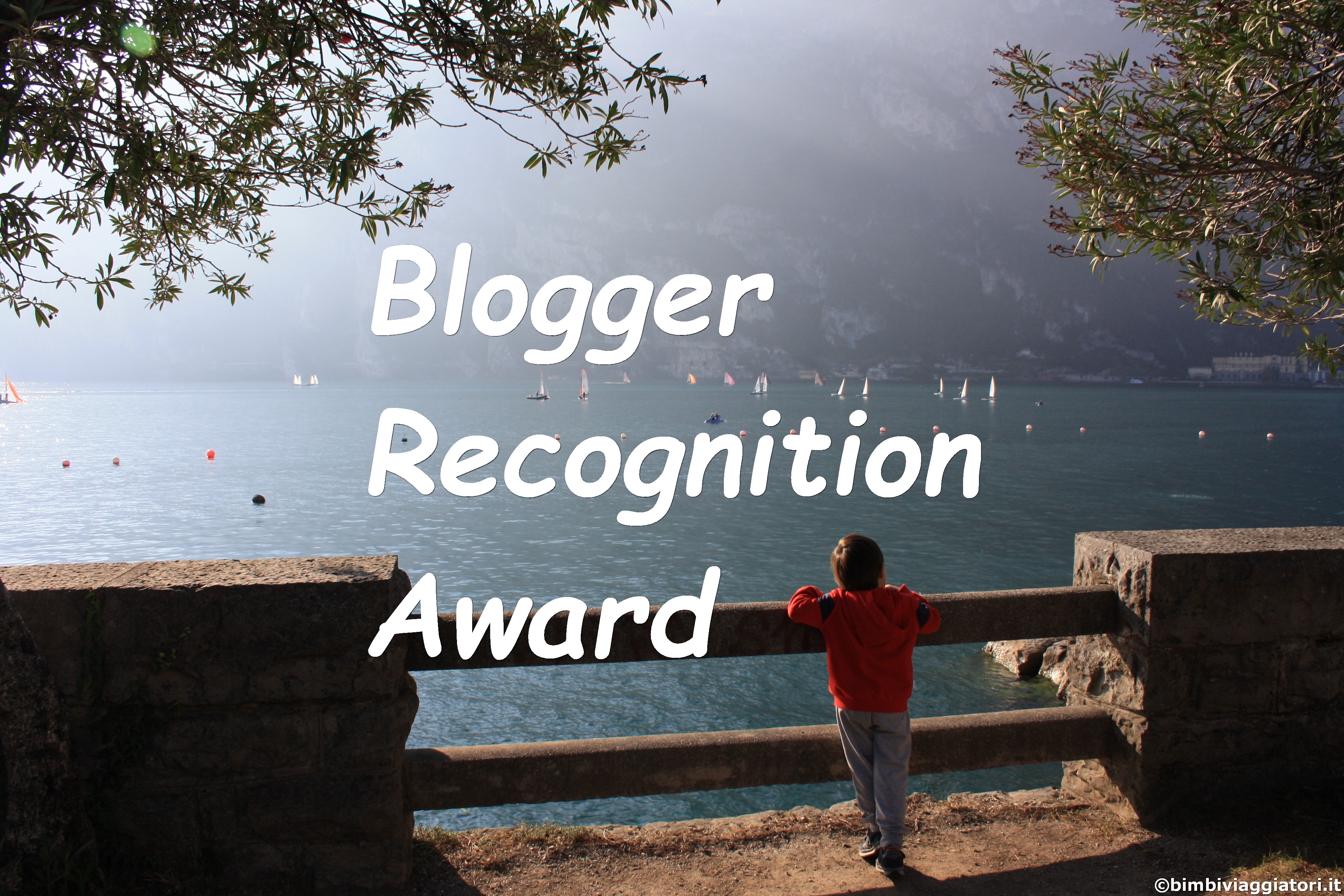 Blogger Recognition Award