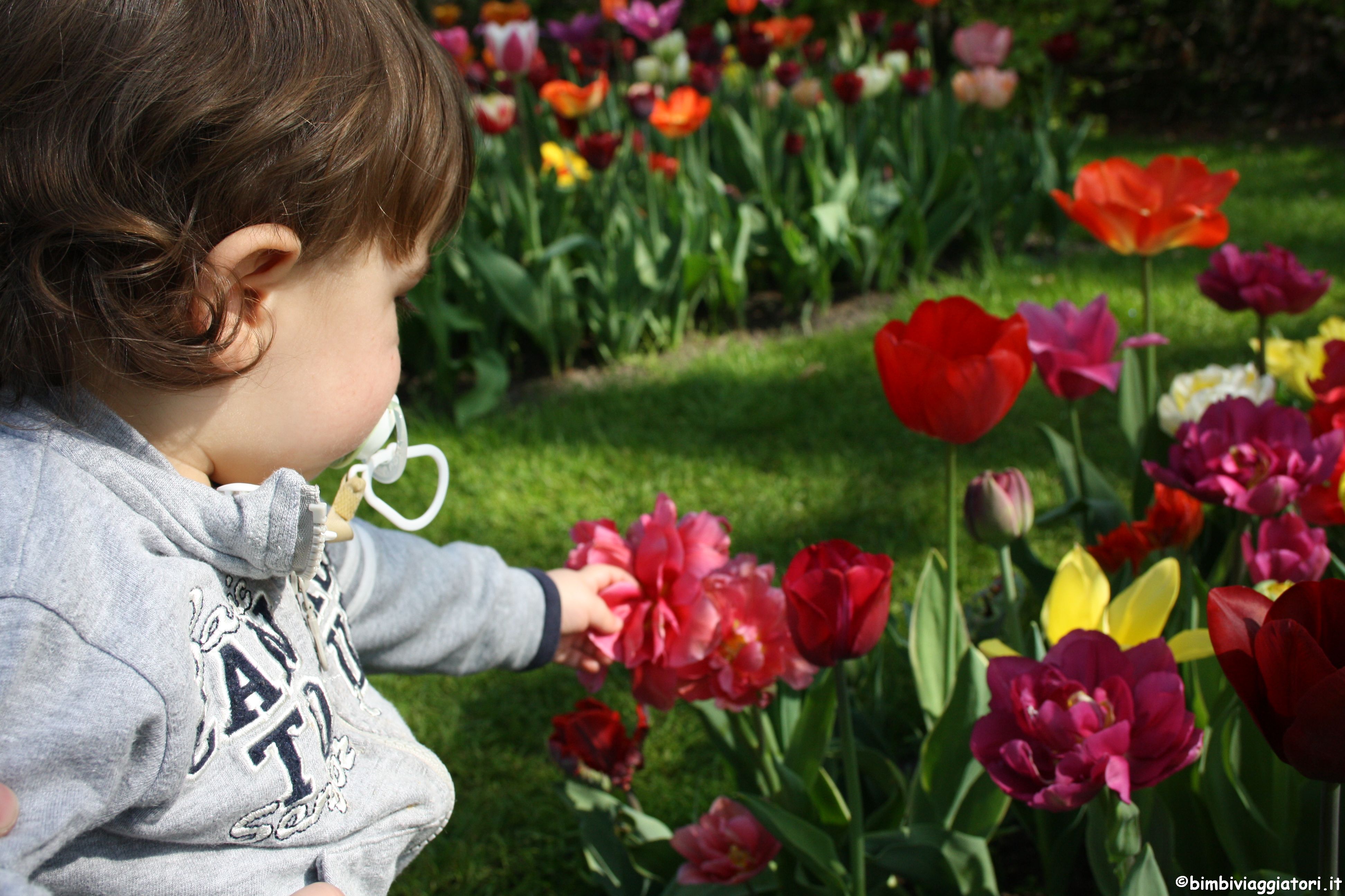 Bambini al Keukenhof