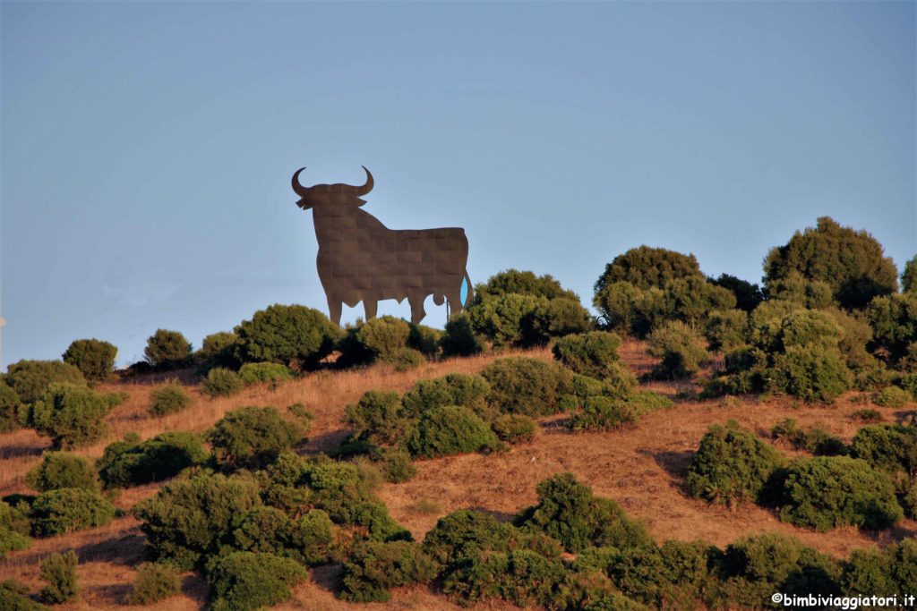 Toro Spagna