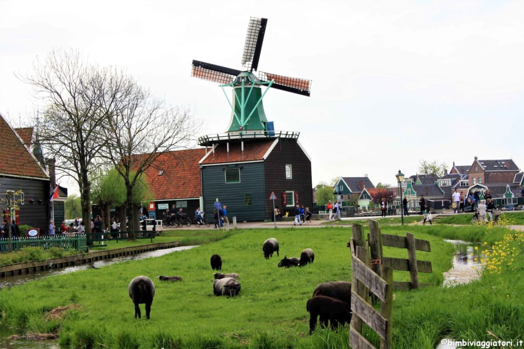 Mulini di Zaanse-Schans