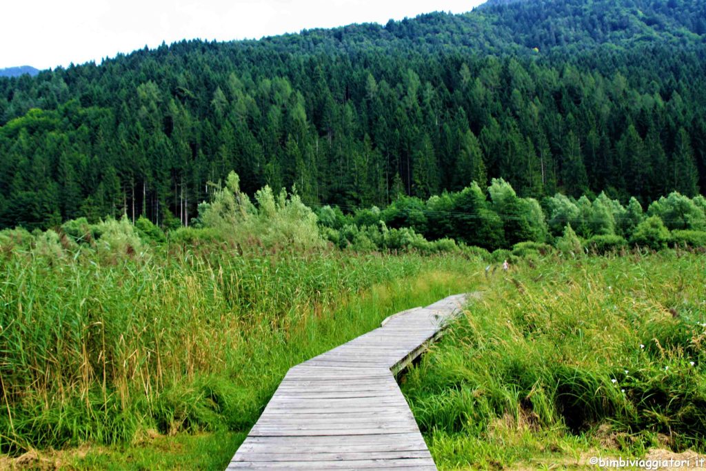 Valle di Ledro con i bambini: Biotopo Lago d'Ampola