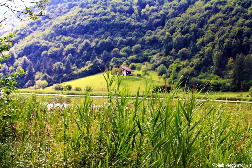 Valle di Ledro con i bambini: Lago d'Ampola