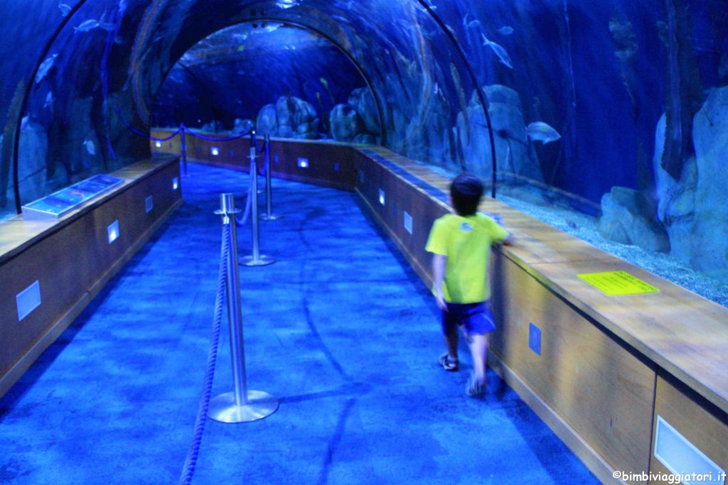 Oceanario con i bambini