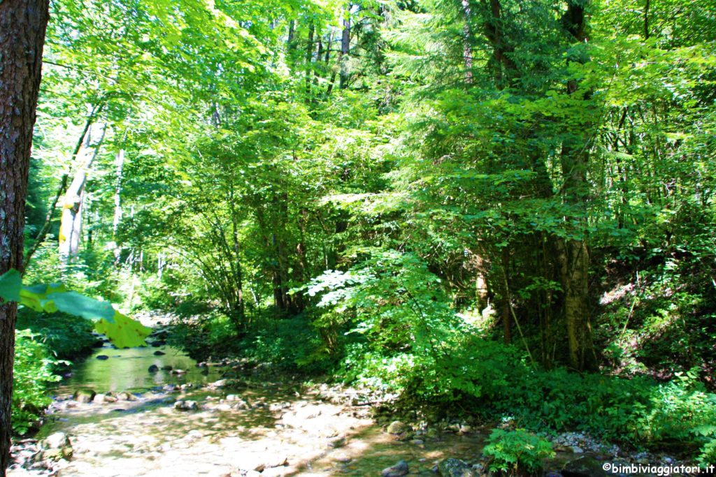 Valle di Ledro con i bambini: Torrente Gorg d'Abiss