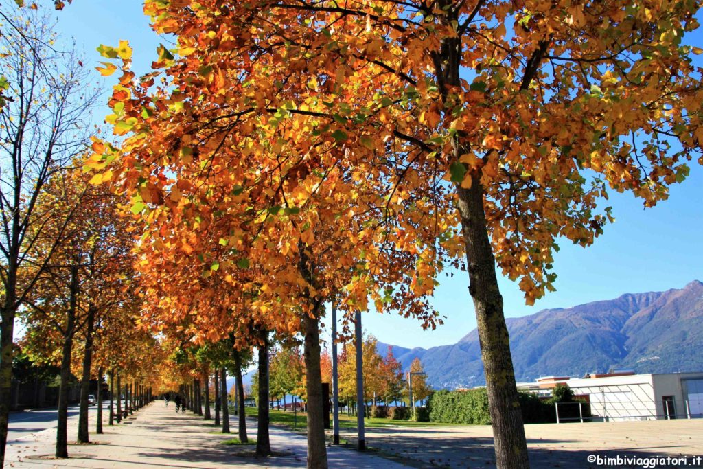 Viale sul Lago Maggiore a Luino