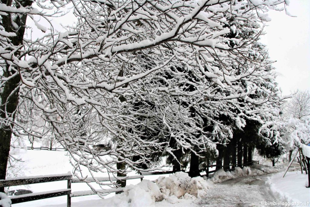 Consigli guida invernale