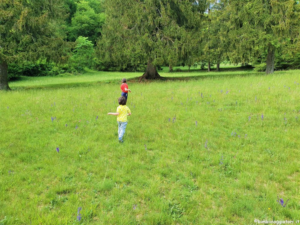 Passeggiate a Molveno con bambini