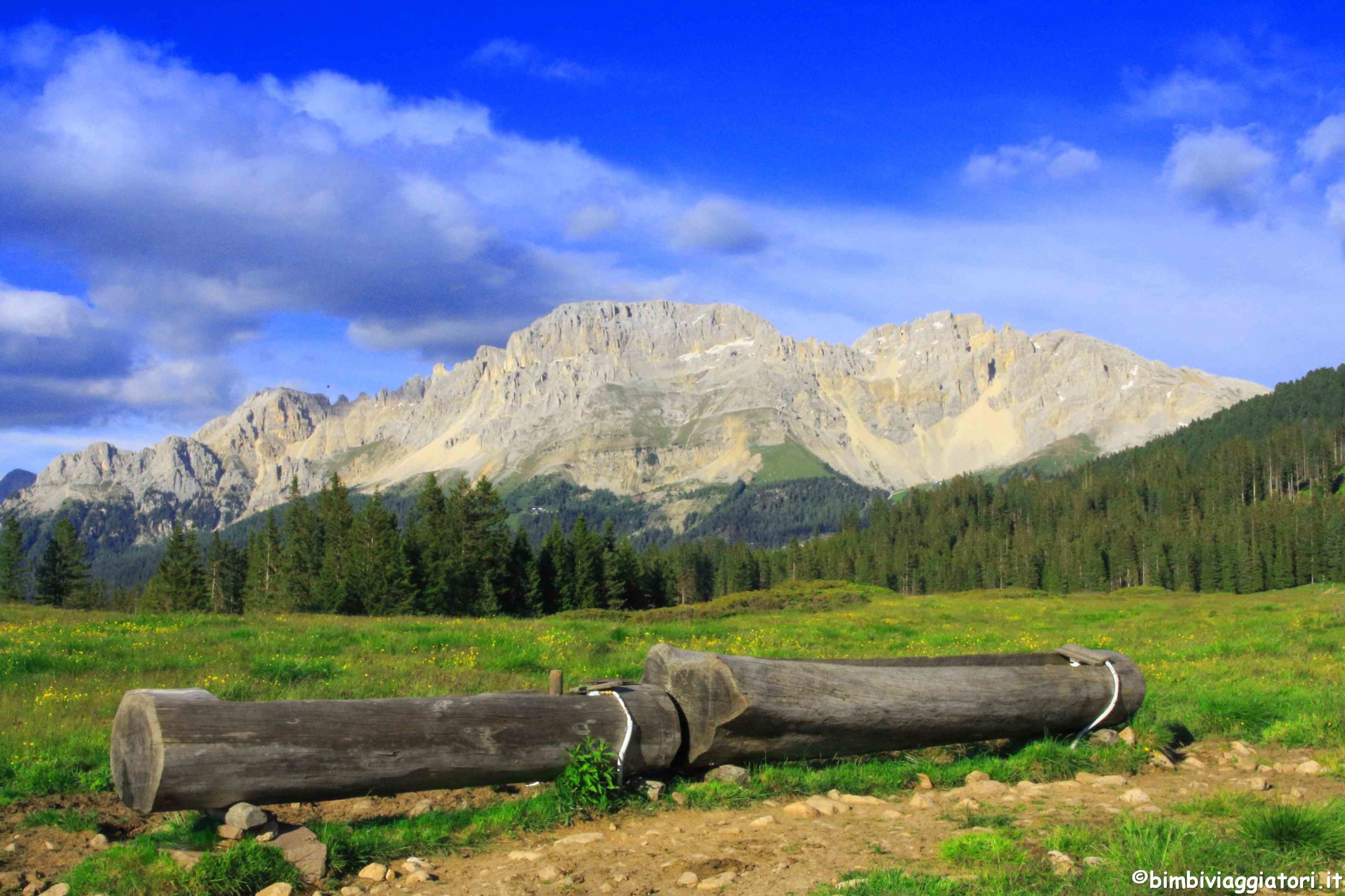 Val Di Fiemme Con La Famiglia Offerta In Montagna A Cavalese Bimbi Viaggiatori