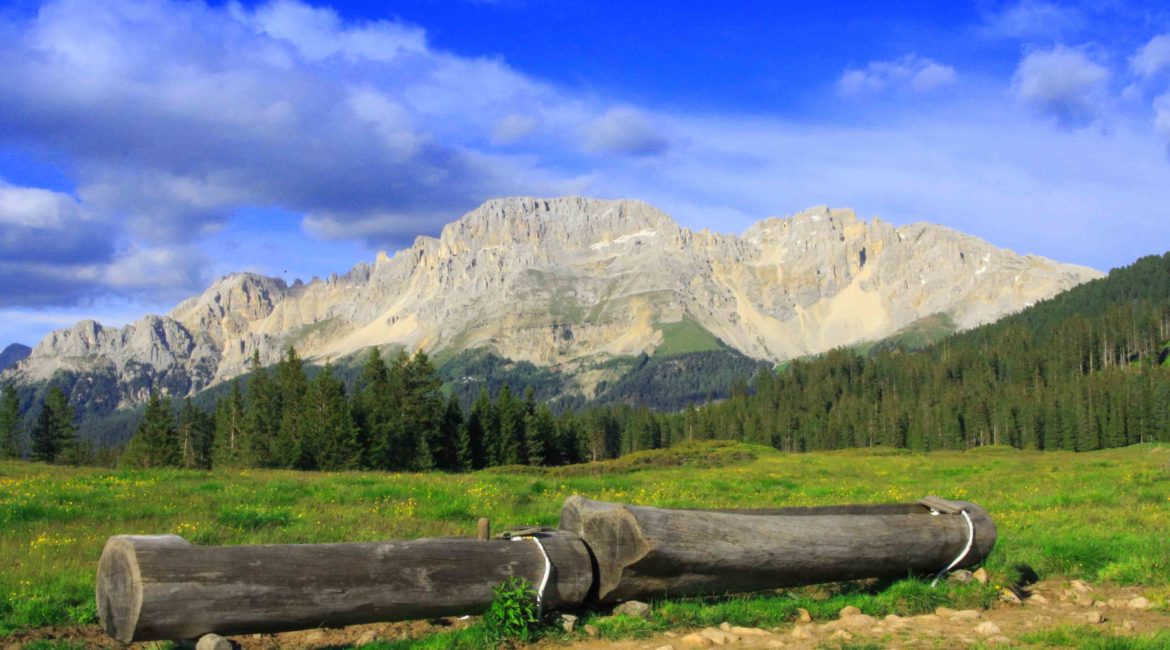 Passo del Lavazè paesaggio