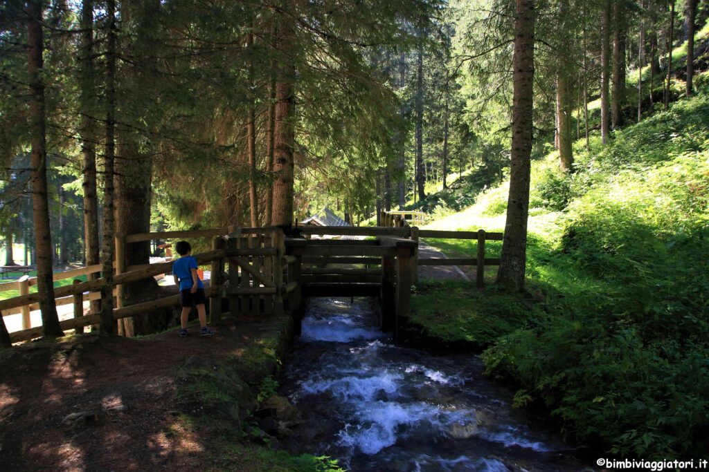 Passeggiate in Val di Sole con i bambini