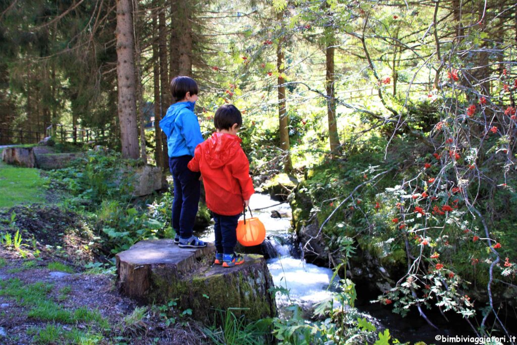 Val di Sole con i bambini