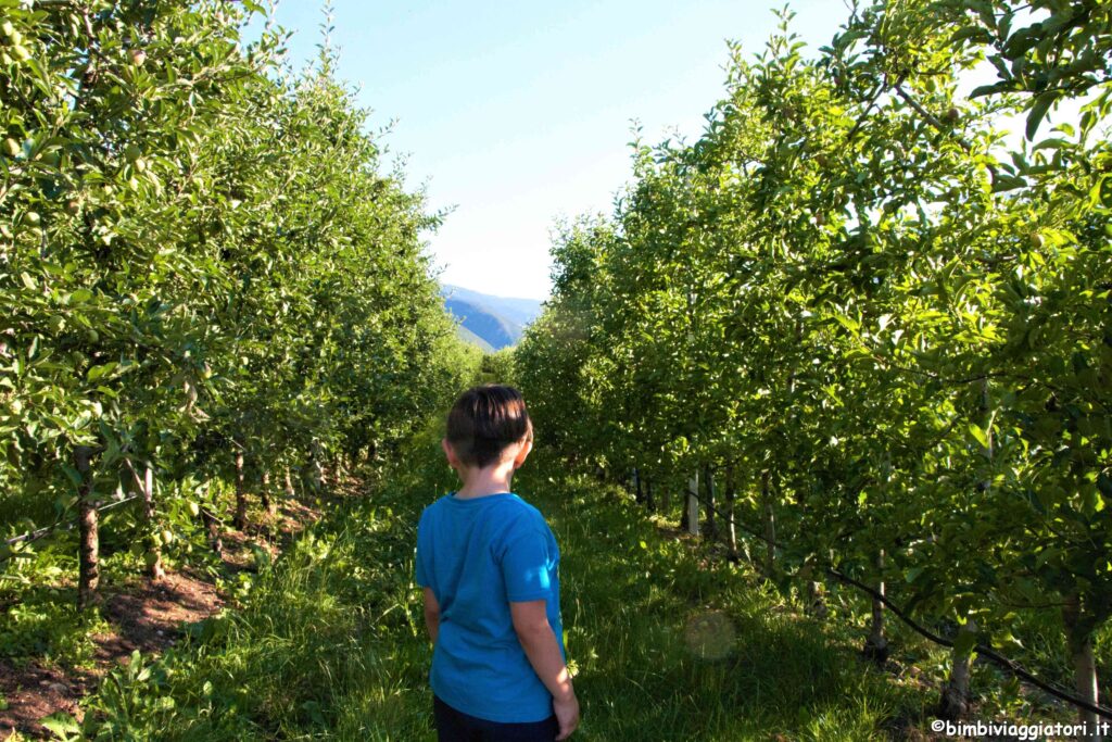 Cosa vedere Val di Non con bambini