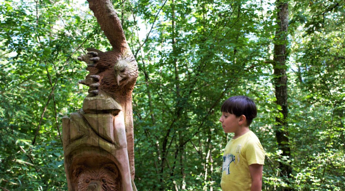 Bosco Arte Stenico opere arte