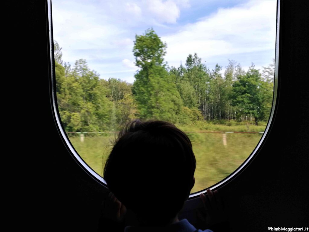 Treno da Mosca a San Pietroburgo