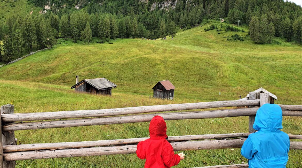 Panorami Croda Rossa con bambini