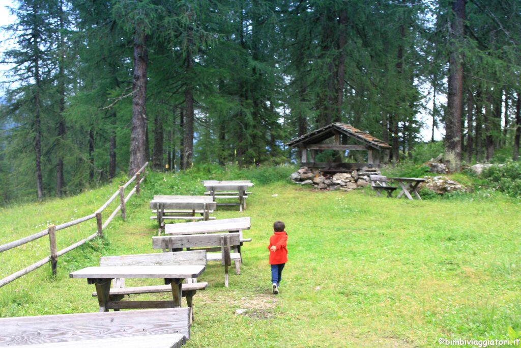 Prati di Croda Rossa in Val Pusteria