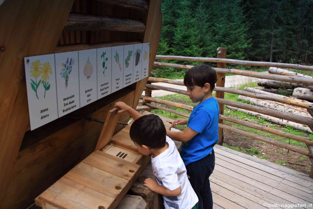 Cosa fare sul Monte Baranci con i bambini