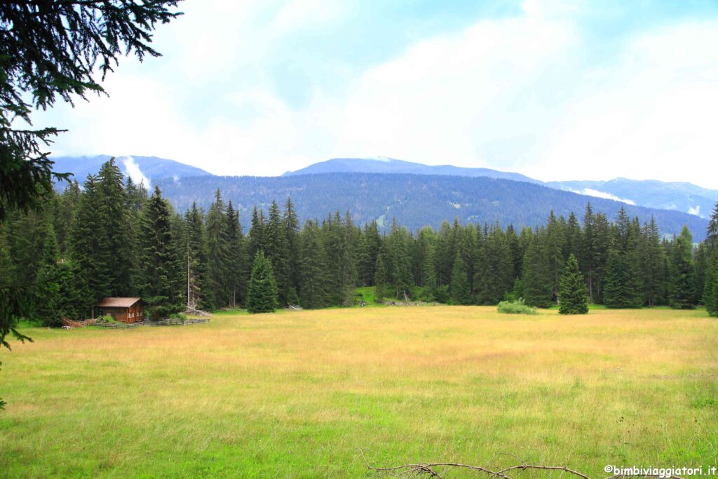 Prati in Val Pusteria