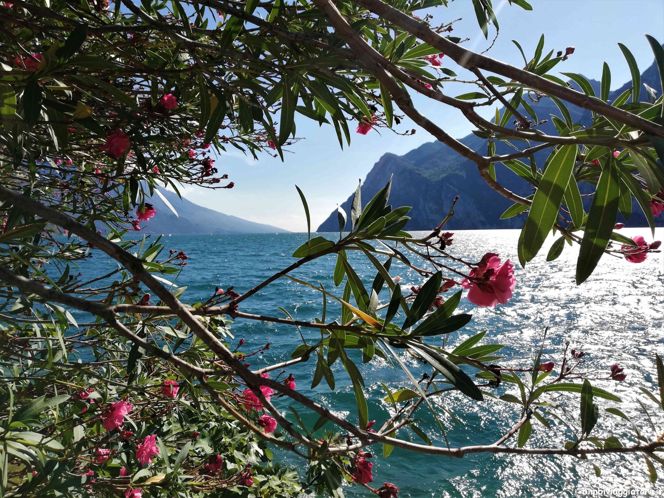 Scorci sul Lago di Garda