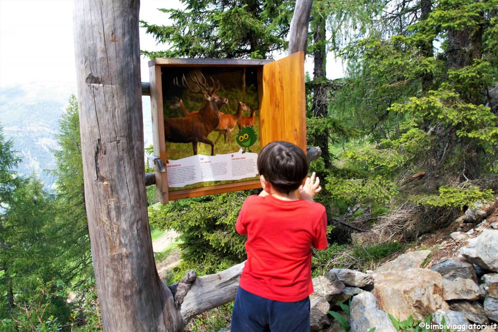 Monte Elmo in Alto Adige con bambini