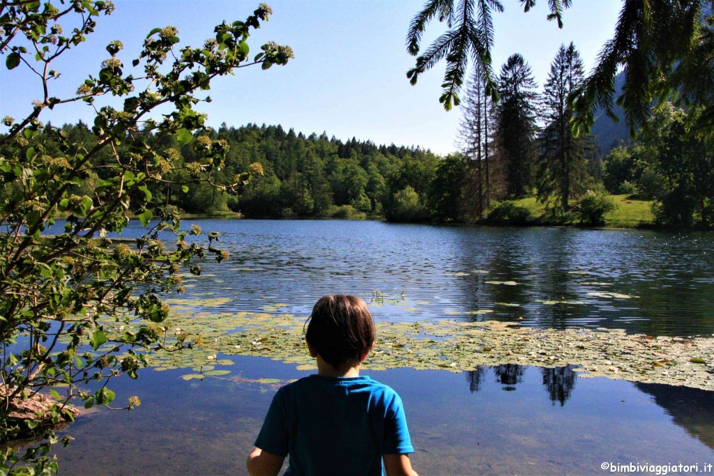 Ninfee sul Lago di Cei