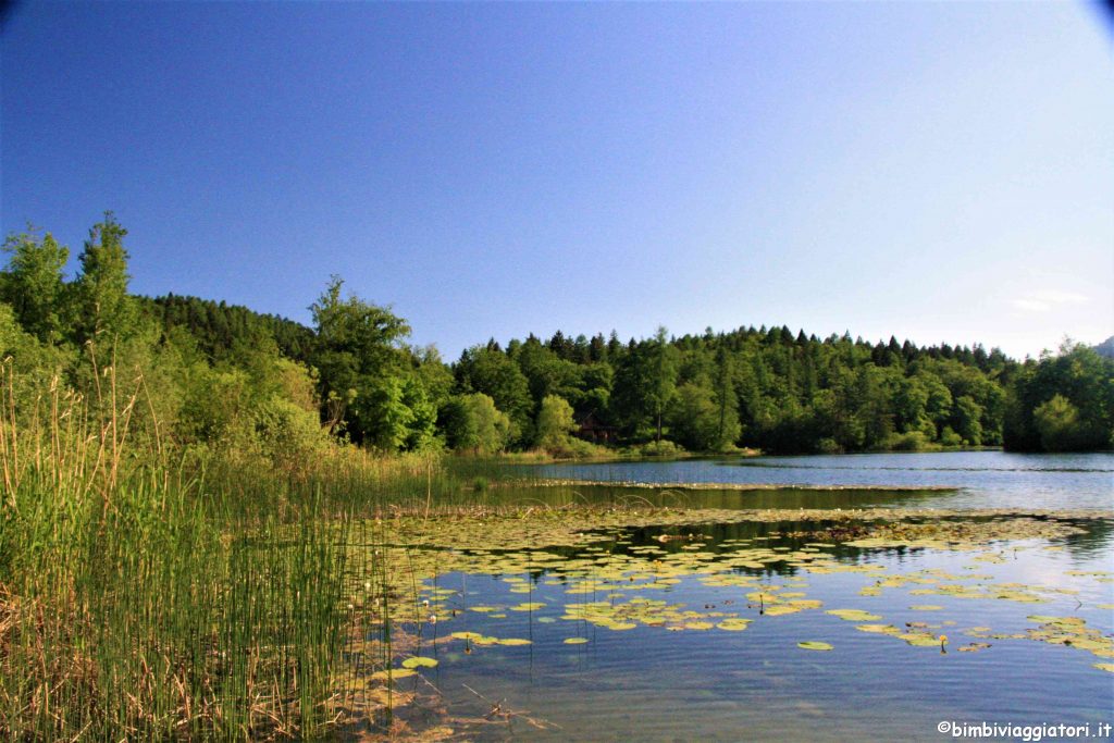 Passeggiata Lago di Cei con bambini