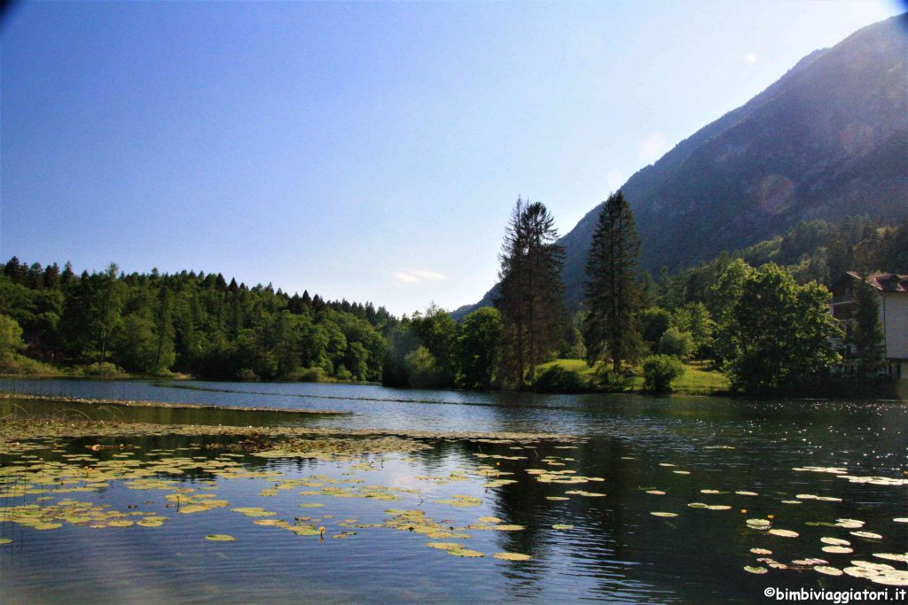 Passeggiata in primavera in Trentino