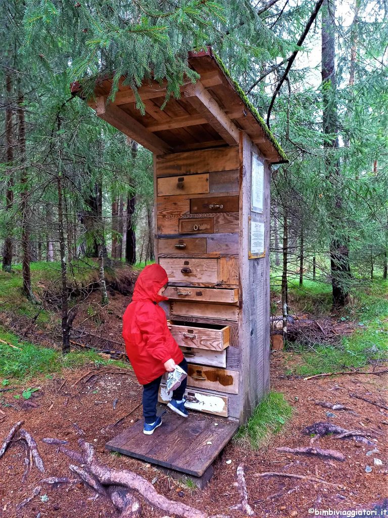 Cosa fare Mondo Magico della Foresta con bambini