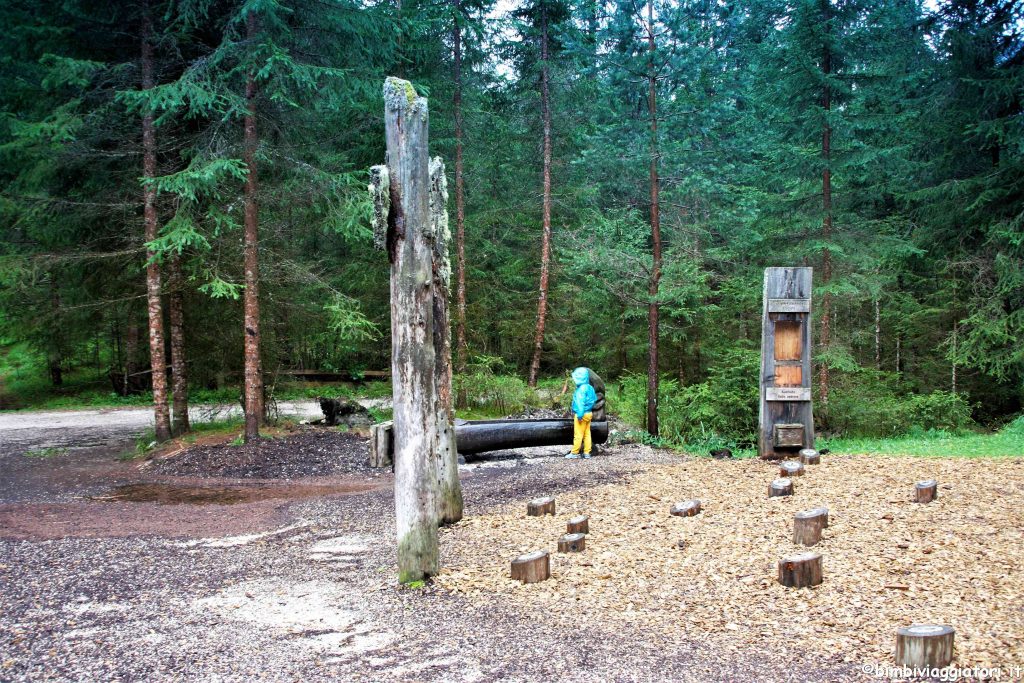 Mondo Magico Foresta Alta Val Pusteria