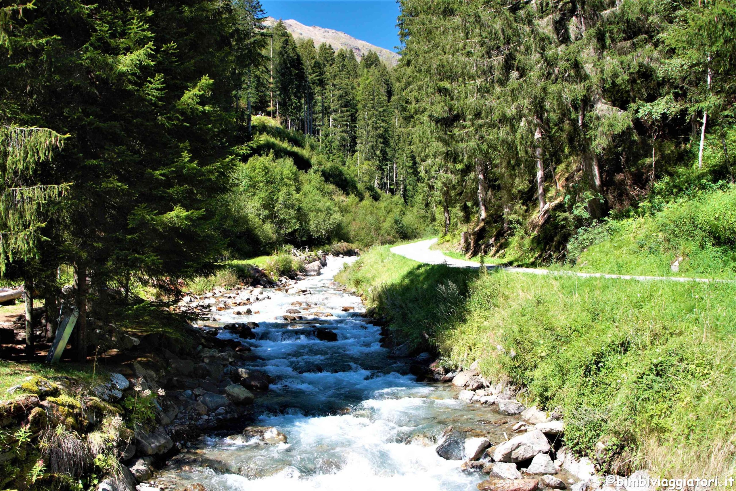 Vacanza in Val di Sole per famiglie