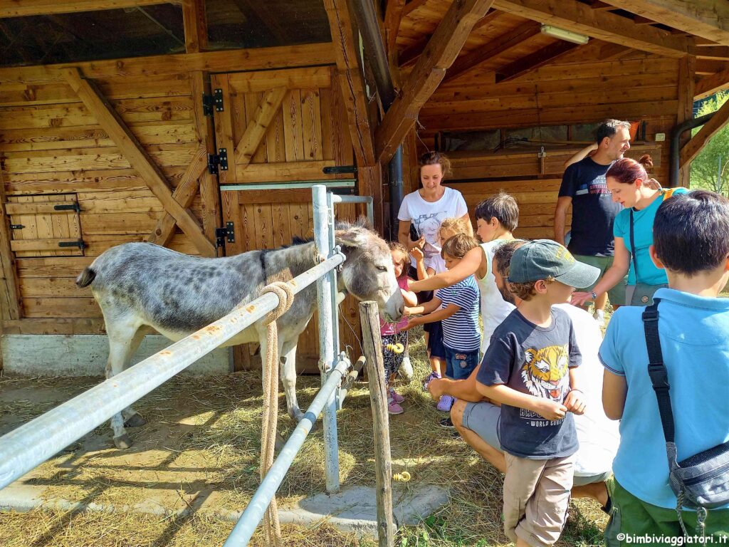 Scoprire animali della fattoria