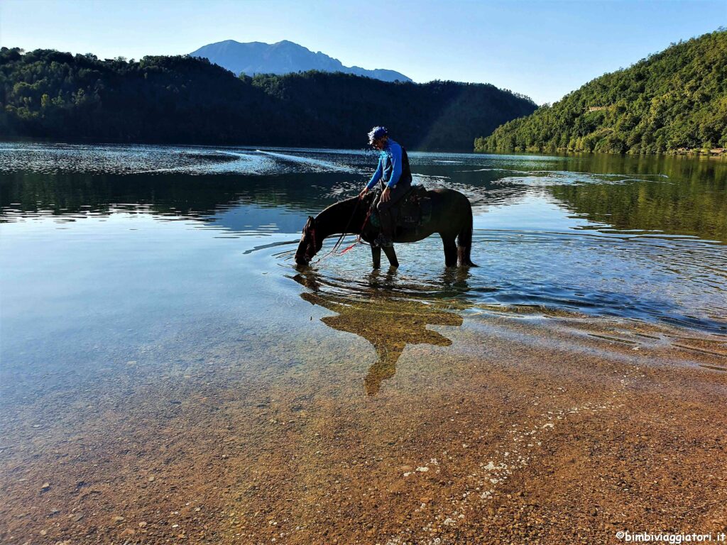 Cavallo al Lago di Levico
