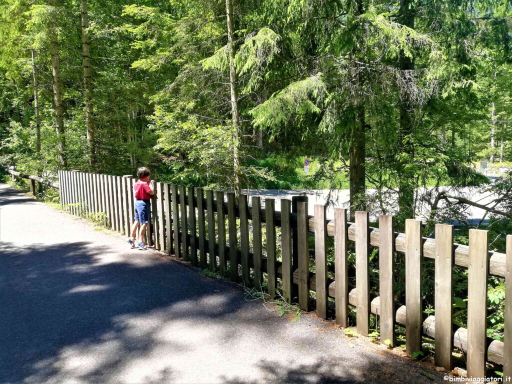 Come raggiungere il Lago di Tovel