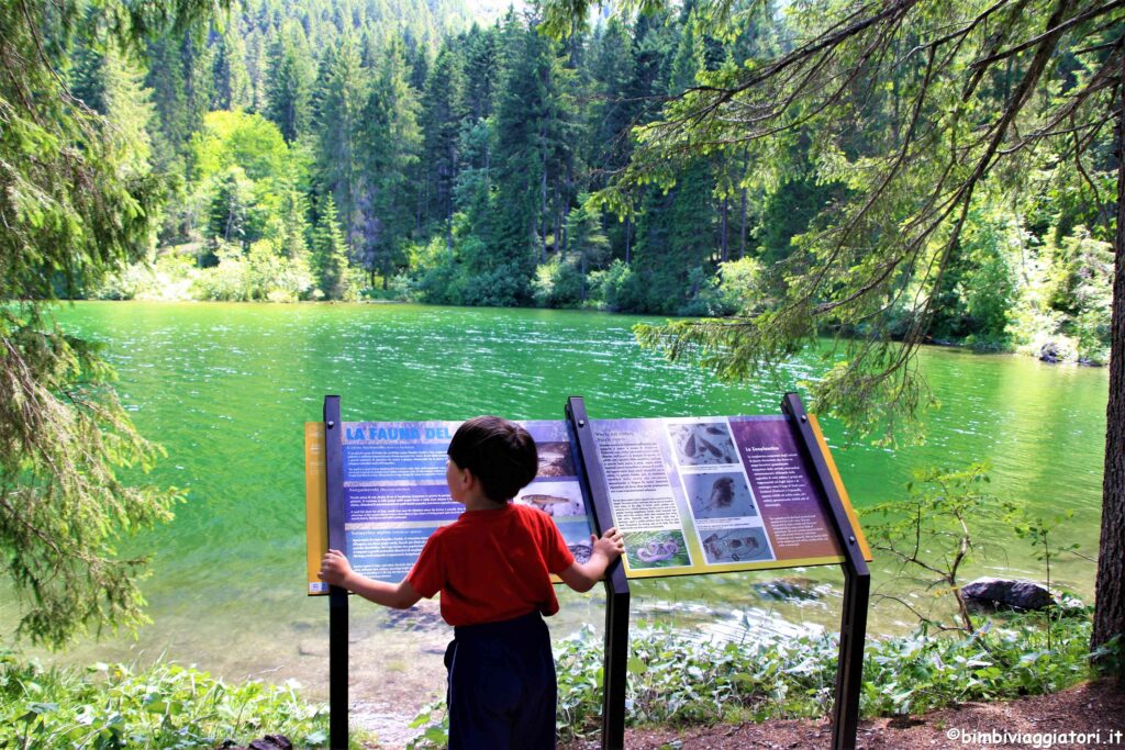 Passeggiata lungo il Lago di Tovel con bambini