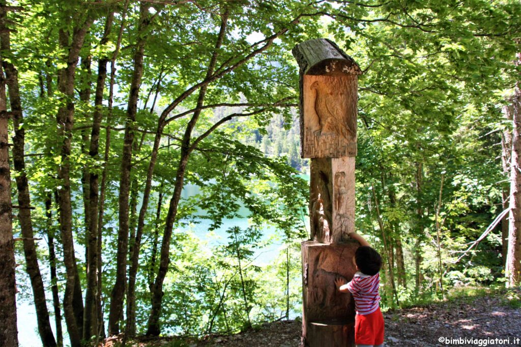 Sculture sul Lago di Tovel