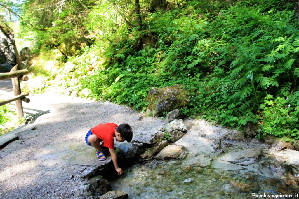 Sorgente del Roccione