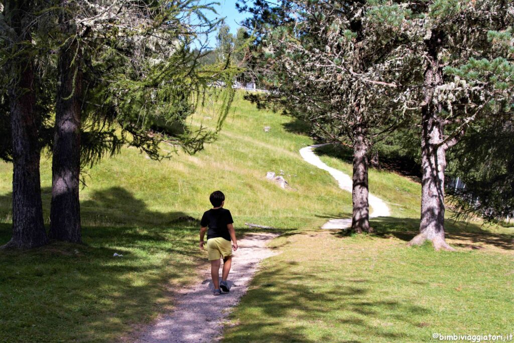 Come arrivare al Parco di Paneveggio