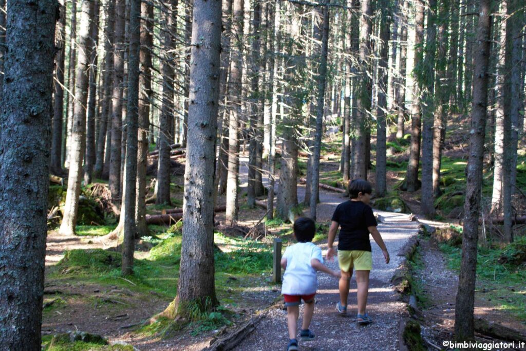 Cosa fare al Parco di Paneveggio