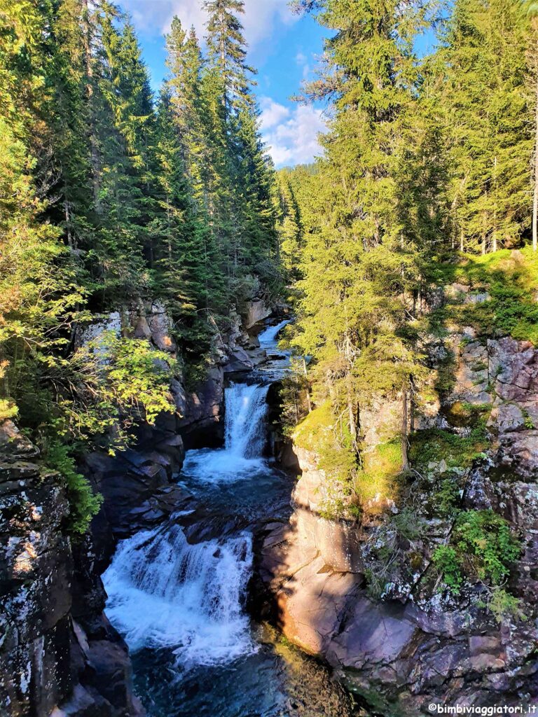 Foresta Val di Fiemme