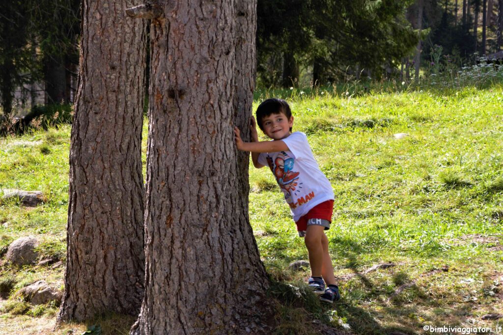 Parco Paneveggio con bambini