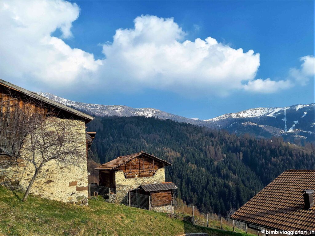 Valle dei Mocheni Maso