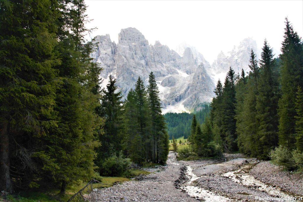 Torrente Travignolo in Val Venegia