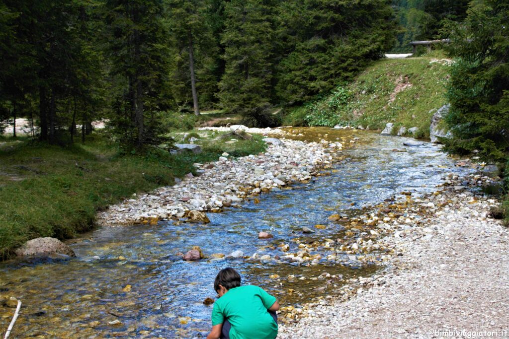 Val Venegia Val di Fiemme Torrente Travignolo