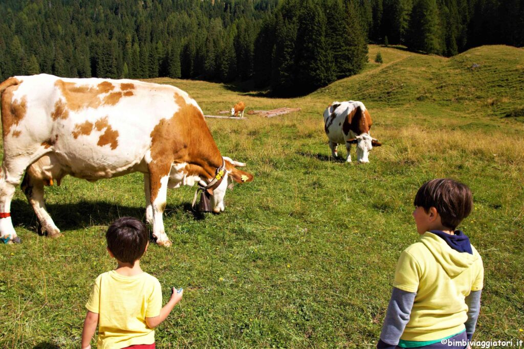 Val Venegia con bambini