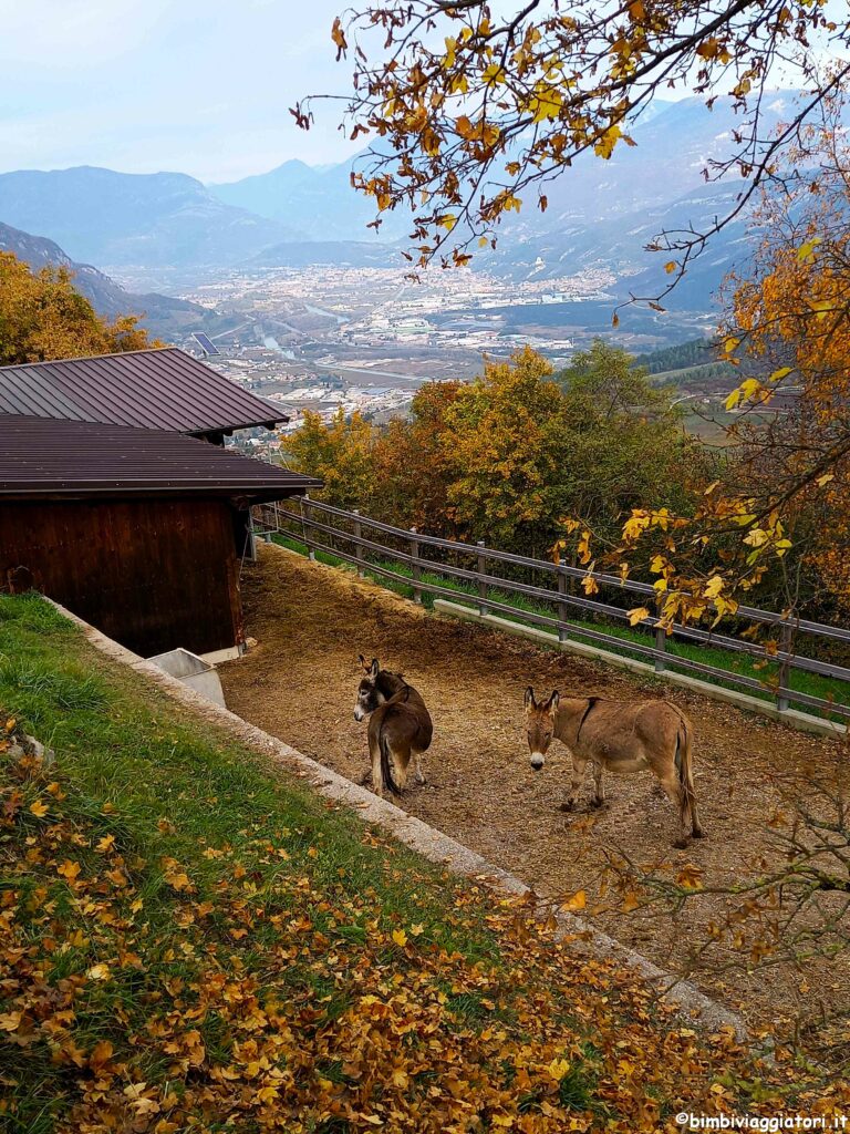 Passeggiate in autunno con bambini