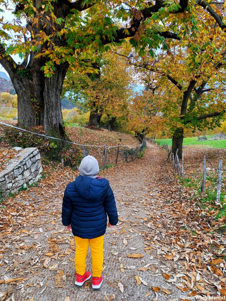 Passeggiate in autunno con i bambini