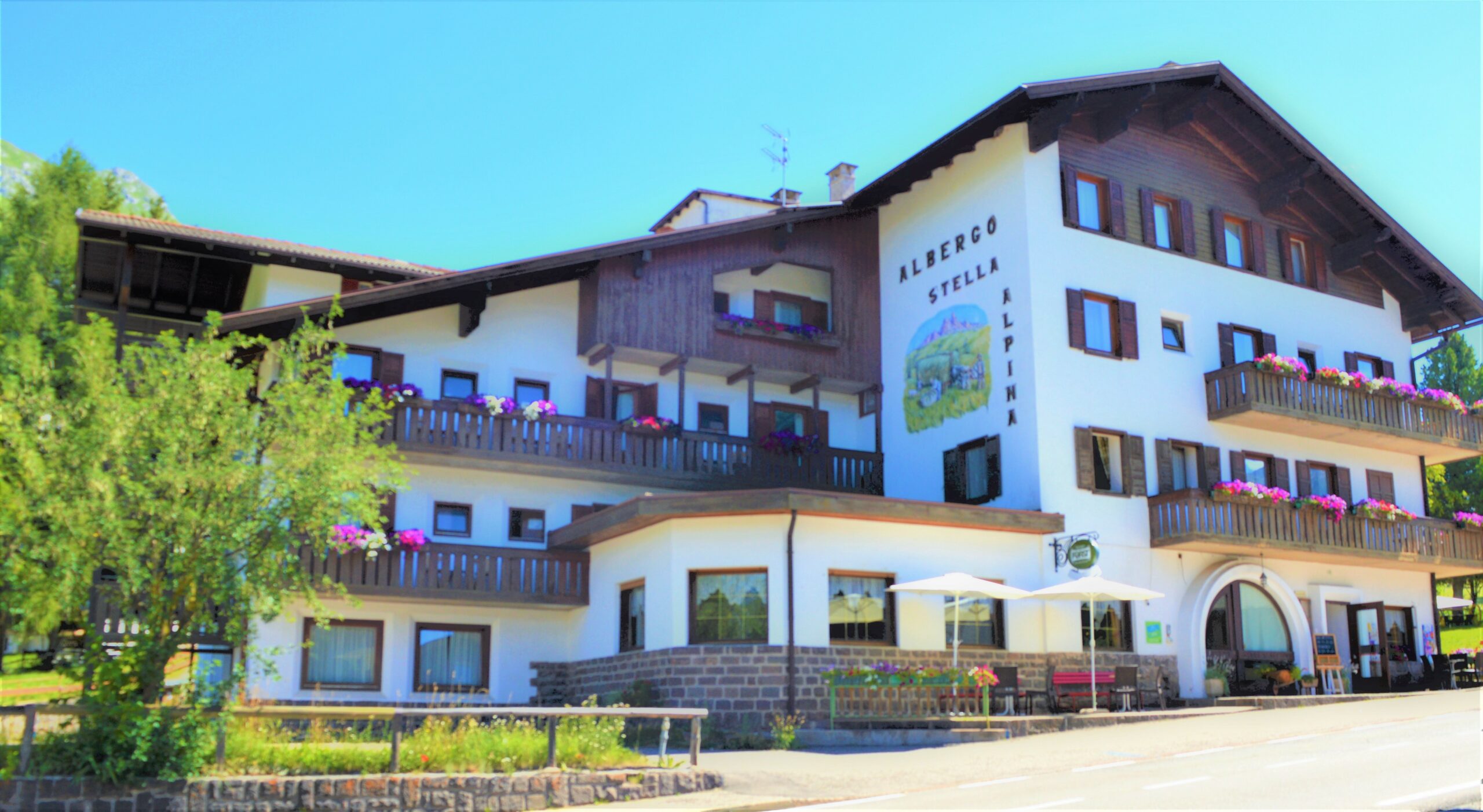 Hotel Stella Alpina